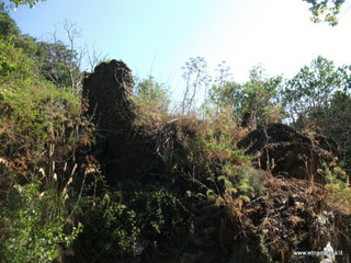 ldaia del Drago19-07-2015 09-15-28